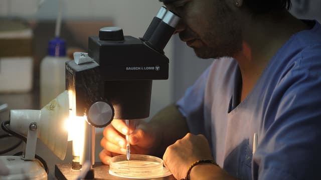 Ce classementi fait la part belle aux sociétés de biotechnologie.