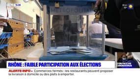 Élections municipales à Lyon: taux de participation en baisse à la mi-journée, les électeurs partagés sur le maintien du scrutin