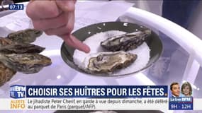 Choisir ses huîtres pour les fêtes