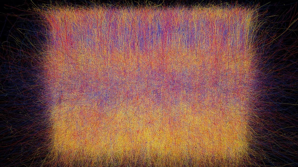 Tranche de cerveau : cette vue monter l'activité électrique du cerveau numérique modélisé. 