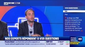 Véhicules professionnels : faut-il avoir une flotte 100% électrique ?