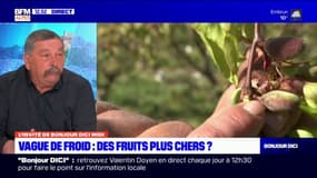 Quelle différence entre une gelée noire et une gelée blanche? Les explications du président de la FDSEA 05