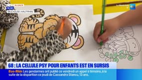 Haut-Rhin: la cellule psychologique pour les enfants victimes de violences conjugales menacée