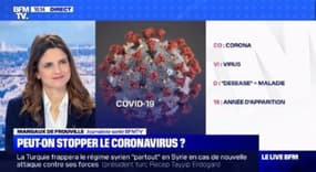 Peut-on stopper le coronavirus ? (2/2)- 12/02 