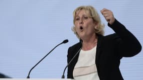 Nadine Morano au Congrès fondateur de son parti, Les Républicains. 