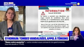 Saint-Romain-au-Mont-d'Or: une vingtaine de tombes vandalisées dans le cimetière, la mairie cherche des témoignages