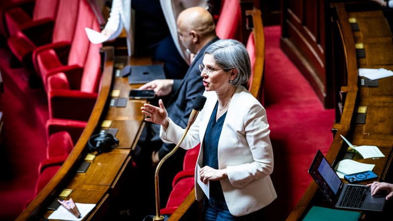 Présidentielle 2027: Sandrine Rousseau affirme qu'elle ne "soutiendra jamais Raphaël Glucksmann au premier tour"