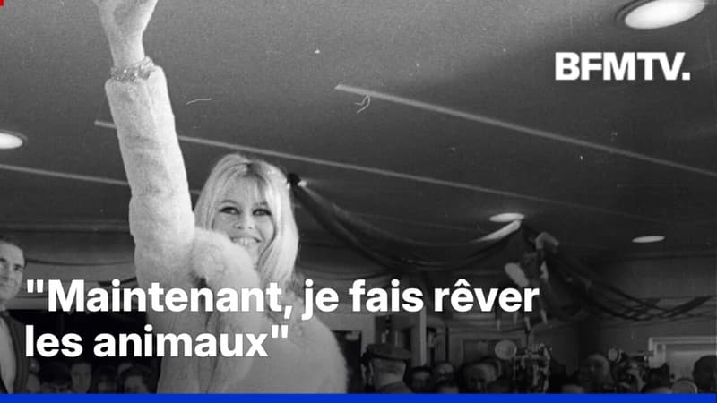 Brigitte Bardot, itinéraire d'une icône sulfureuse