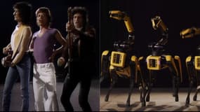 Un clip des Rolling Stones reproduit par des chiens-robots