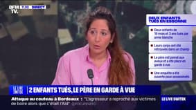 Essonne: deux enfants retrouvés morts dans un champ, le père placé en garde à vue