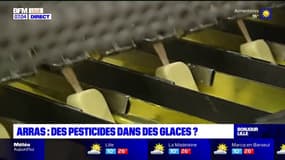 Arras: des glaces Häagen-Dazs à la vanille pouvant contenir des pesticides ont été rappelées