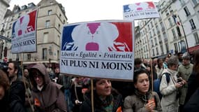 Manifestation de partisans du mariage homosexuel, à Paris.