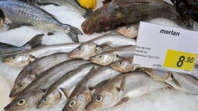 Vendredi 15 juin les poissonniers marseillais ont été verbalisés pour défaut d'étiquetage