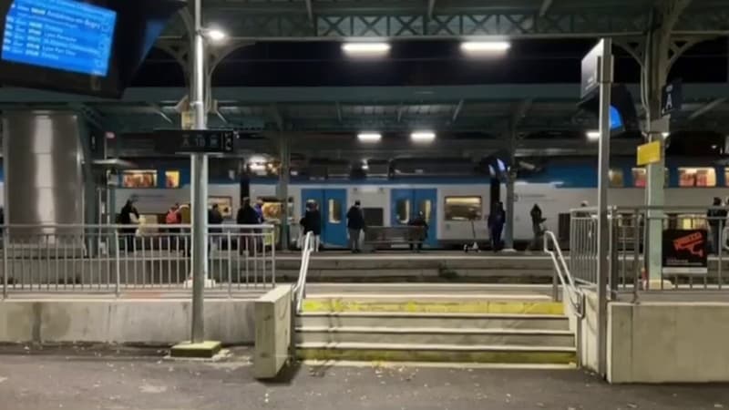 Rhône: la ligne SNCF interrompue entre Givors et Saint-Étienne à cause d'un éboulement sur les voies