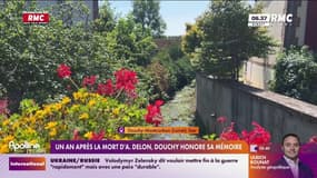 Un an après la mort d'Alain Delon, la commune de Douchy-Montcorbon honore sa mémoire