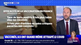 Où en est-on sur les études concernant l'efficacité des vaccins ?