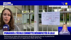 Punaises de lit: l'école Cornette désinfectée à Lille