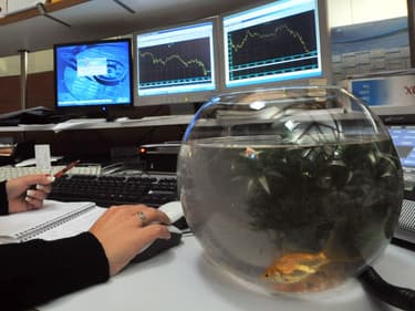 Un poisson rouge dans son aquarium peu impressionné par les cours de Bourse sur le bureau d'une trader