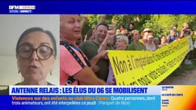 Antennes-relais: cette sénatrice des Alpes-Maritimes veut faire évoluer la loi