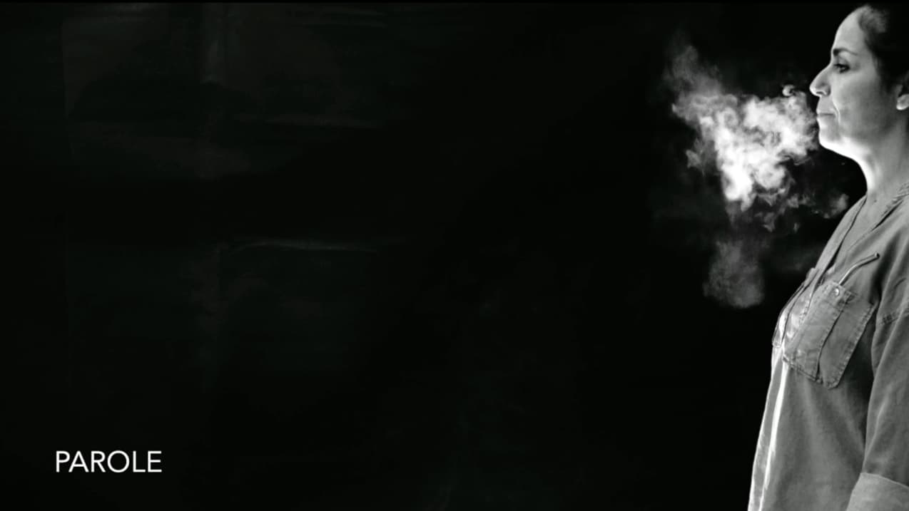 Extrait de la vidéo montrant la visualisation de l'écoulement d'air dans la production de voix et de parole