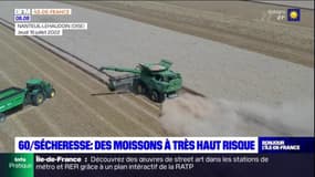 Oise: des moissons à très haut risque en période de fortes chaleurs