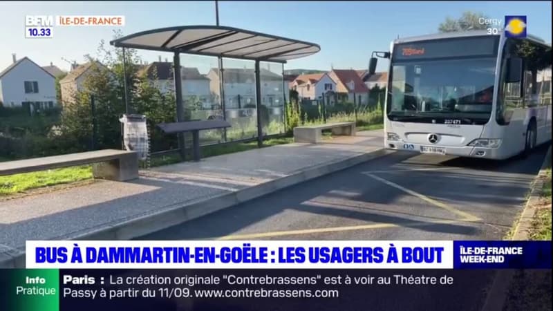 Dammartin-en-Goële: les itinéraires de bus changés, les usagers à bout