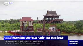 L'Indonésie inaugure sa nouvelle capitale, la "ville forêt" de Nusantara