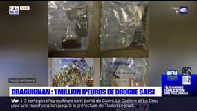 Draguignan: un million d'euros de produits stupéfiants saisi depuis le mois d'août