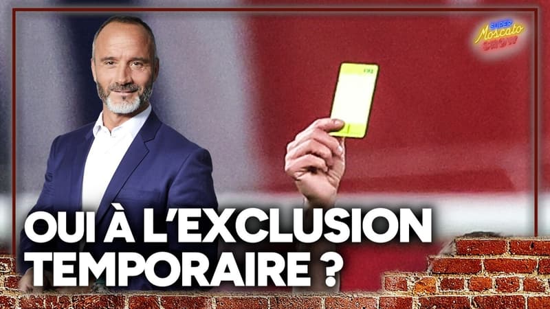 "L'exclusion temporaire, ça existe dans tous les sports", Di Meco favorable au carton orange