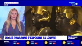 Les pharaons s'exposent au Louvre 