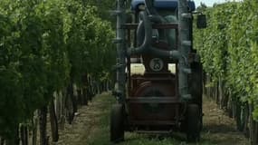 Le plan écophyto censé baisser l'usage des pesticides a été mis en pause, jeudi.