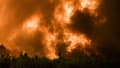 Des flammes ravagent des arbres lors d'un incendie de forêt près de Belin-Beliet en Gironde, dans le sud-ouest de la France, le 10 août 2022.
