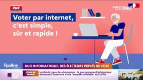 Législatives: le vote des Français de l'étranger perturbé par un bug informatique