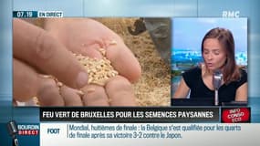 La victoire des semences paysannes ! Bruxelles donne son feu vert