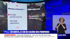 LES ÉCLAIREURS - Pourquoi les pompiers manifestent-ils aujourd'hui? 