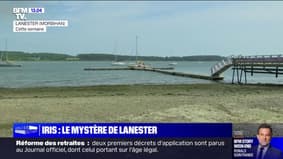Une semaine après la découverte du corps d'Iris à Lanester dans le Morbihan, le mystère reste entier