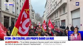 Lyon: les enseignants dans la rue pour demander la fin des suppressions de poste