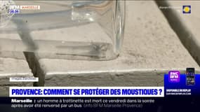 Provence: comment se protéger des moustiques?