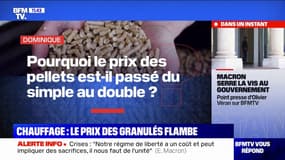 Pourquoi le prix des granulés de bois est-il passé du simple au double ? BFMTV répond à vos questions