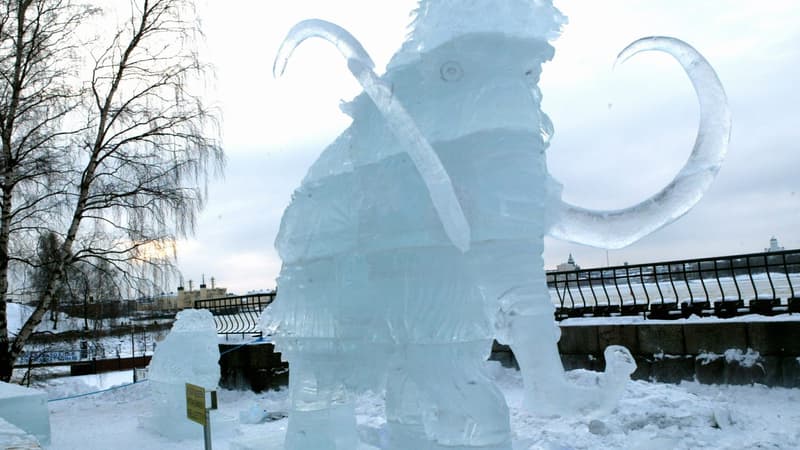 Une statue de glace de plus de 3 mètres de haut représentant un mammouth, le 25 janvier 2004 au zoo d'Helsinki. (Photo d'illustration)