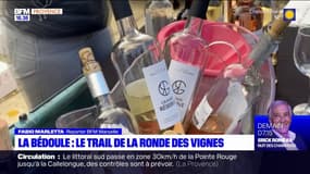 La Bédoule: le trail de la Ronde des Vignes 