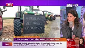 Colère agricole : "Arrêtons de matraquer l'agriculture française"