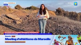Incendie aux Pennes et à Marseille : retour sur l'action des pompiers sur le terrain