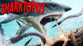 Sharktopus
