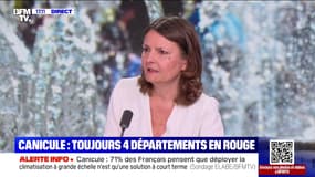 Canicule: "L’État doit aussi faire quelque chose" pour l'adaptation, affirme Eva Sas, députée "Écologie et Social" de Paris