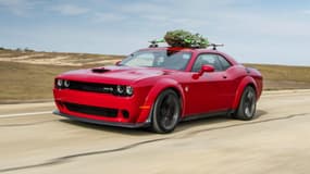 Avec son moteur V8 6,2 litres de 707 chevaux, cette Dodge Challenger Hellcat Widebody a servi de support au record du sapin de Noël le plus rapide au monde.