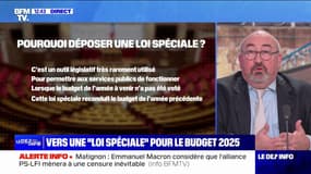 Budget 2025: qu'est-ce que la "loi spéciale" annoncée par Emmanuel Macron 