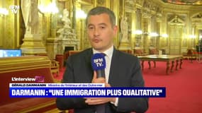 Gérald Darmanin: "Une immigration plus qualitative" - 02/11