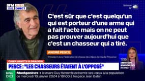 Chien abattu à Oraison: l'implication d'un chasseur "ne peut pas être prouvée", selon le président de la Fédération de chasse du département 