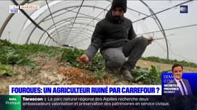 Fourques: un agriculteur accuse Carrefour de l'avoir ruiné
